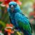 Amazonka niebieskoczelna (Amazona aestiva) – charakter i wymagania hodowlane